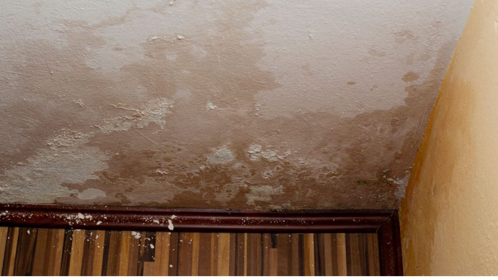 
Protecting Your Home