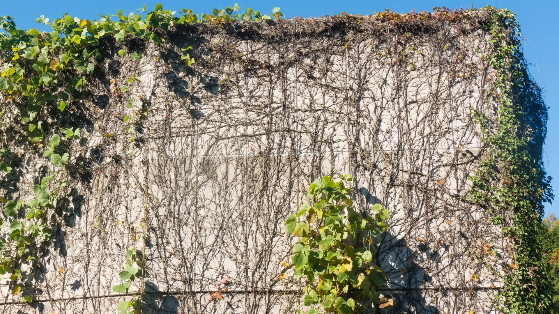 Historic Masonry