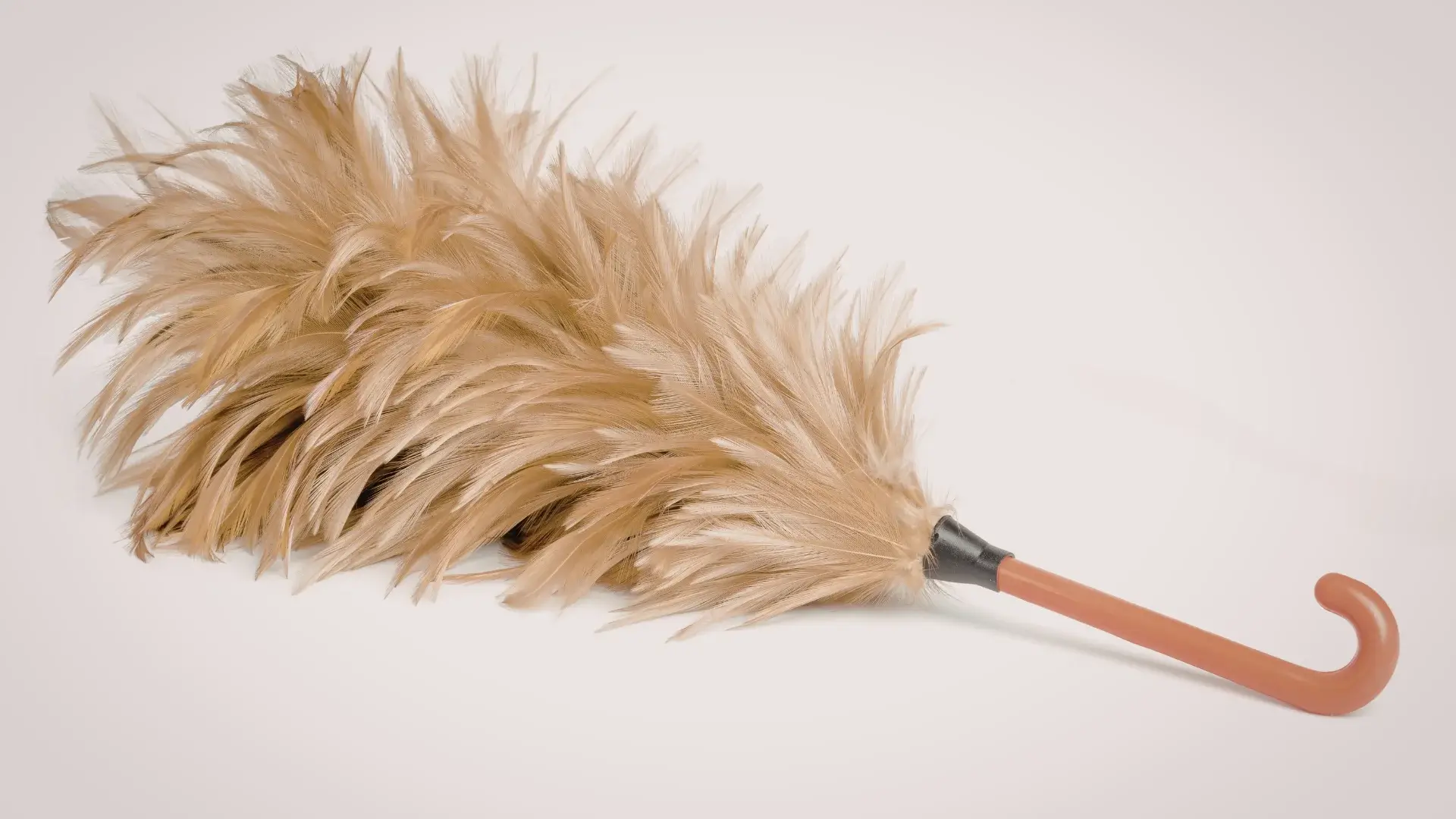 Dusting